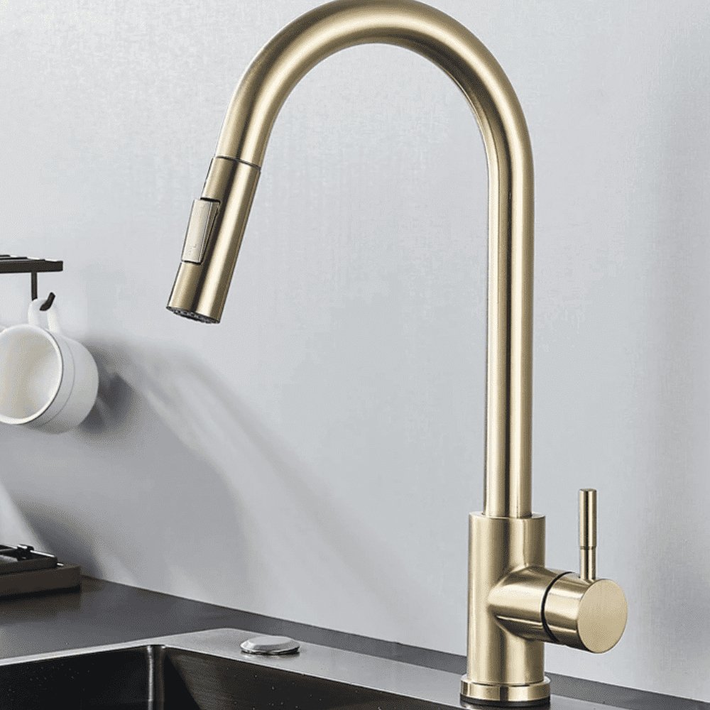 Torneira Monocomando Gourmet Itália com Ducha Extensível