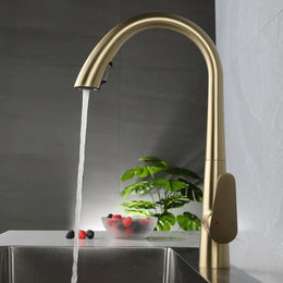 Torneira Monocomando Gourmet Extensível para cozinha Veneza