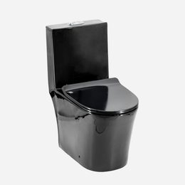 Vaso Sanitário Com Caixa Acoplada Redondo New Fluir