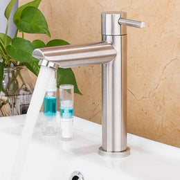 Torneira Lander para Banheiro em Aço Inox - Bica Baixa Água Fria