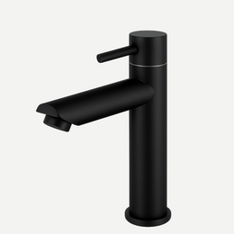 Torneira Lander para Banheiro em Aço Inox - Bica Baixa Água Fria