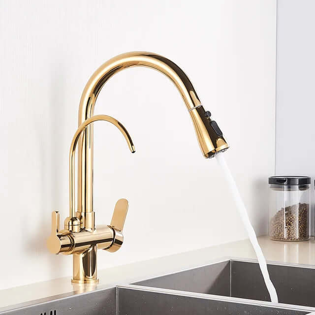 Torneira para Cozinha Gourmet Extensiva - Monocomando Function 2 Jatos